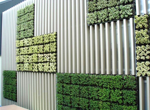 郑州东风区广东植物墙在下个月跳起"绿色腰围"